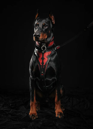 Red Dragon Collar - xlchoice.com