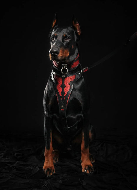 Red Dragon Leather - xlchoice.com