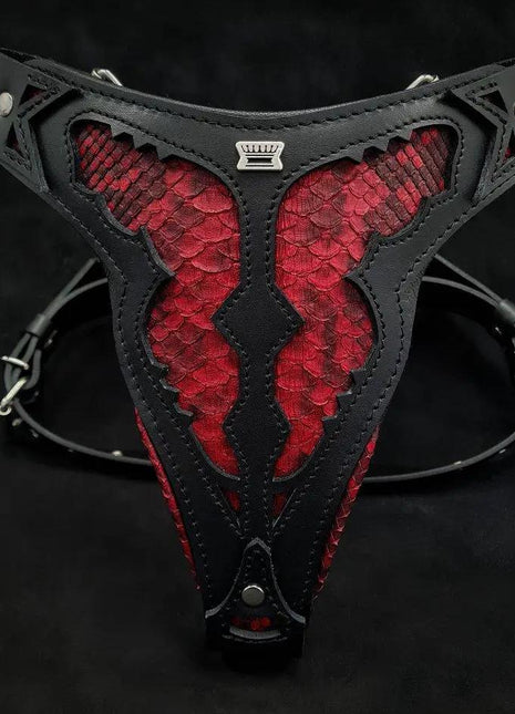 Red Dragon Leather - xlchoice.com