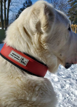 Red Leather Collar - xlchoice.com
