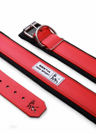 Red Leather Collar - xlchoice.com