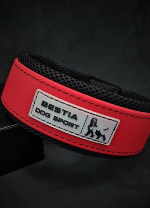 Red Leather Collar - xlchoice.com