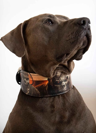 Scare Collar Leather - xlchoice.com