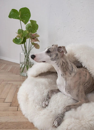 Sheepskin Pet Cave - xlchoice.com