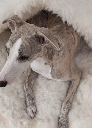 Sheepskin Pet Cave - xlchoice.com