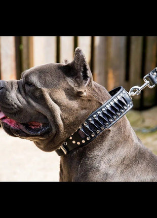 Steampunk Collar - xlchoice.com