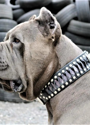 Steampunk Collar - xlchoice.com