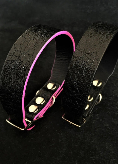 Taurus Puppy Collar - xlchoice.com