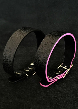 Taurus Puppy Collar - xlchoice.com