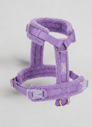 Hundegeschirr-Set Teddy Violett - XLchoice