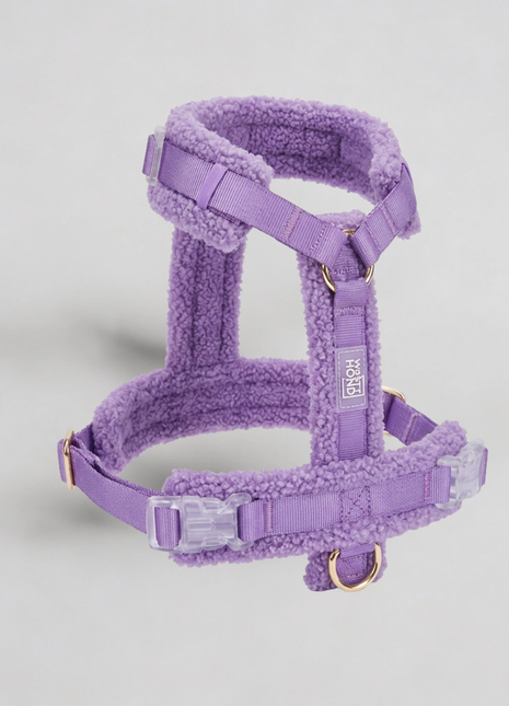 Hundegeschirr-Set Teddy Violett - XLchoice