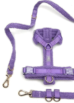 Hundegeschirr-Set Teddy Violett - XLchoice