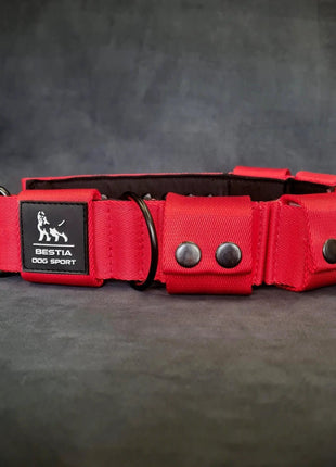 Weighted Dog Collar - xlchoice.com