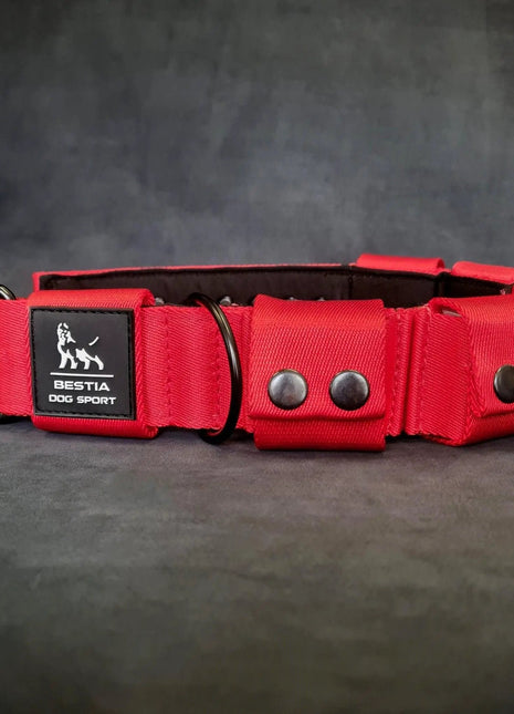 Weighted Dog Collar - xlchoice.com