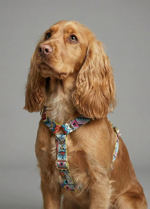 Hundesele Ethnic Vibrance - XLchoice