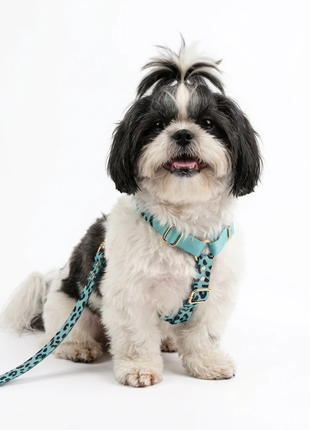 Hundesele Aqua-Camo - XLchoice