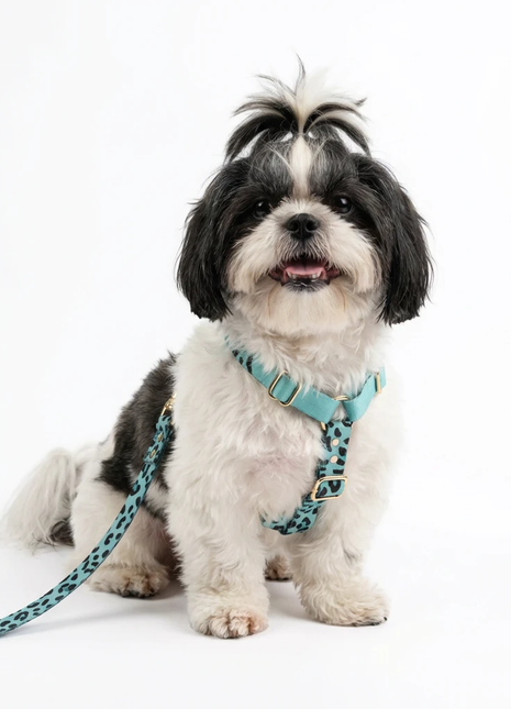Hundesele Aqua-Camo - XLchoice