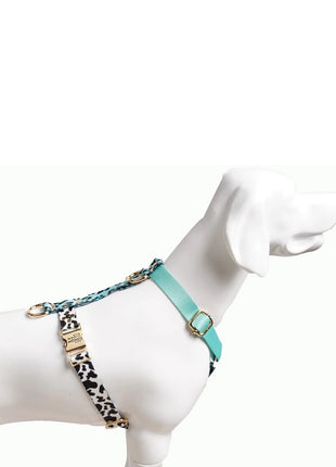 Hundesele Aqua-Camo - XLchoice