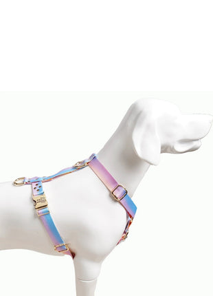 hundesele Aurora - XLchoice