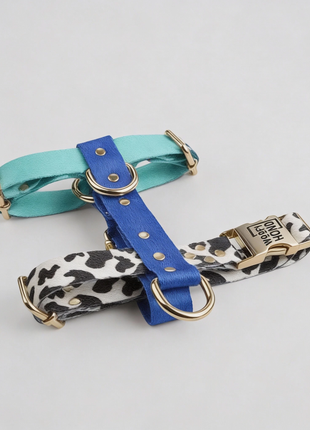 hundesele Blueberry - XLchoice