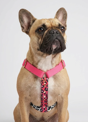 alt
Hundesele CandyMix HARNESS i pink med Leopard-print-webbing, størrelse XS, Woofy hund