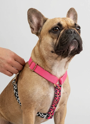 Hundesele CandyMix – pink nylonsele med leopardprint og brystrem