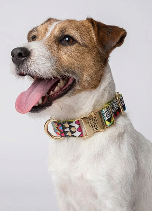 alt
Halsbånd Ethnic-Vibrance fra Woofy til hund, farverigt ethnic-design med gyldent beslag, XS-størrelse