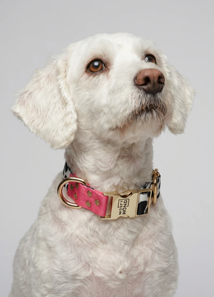 CandyMix hundehalsbånd, pinkt bånd med guldfarvet spænde og D-ring, Woofy hund