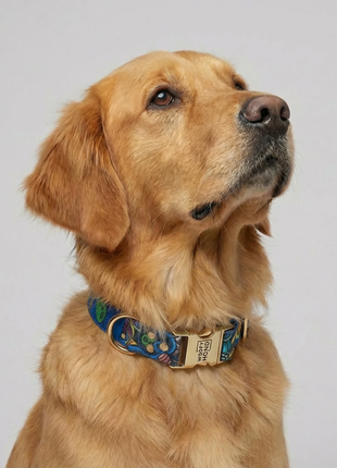 Hundehalsbånd Galaxy fra Woofy, blåmønstret, guldfarvet spænde
