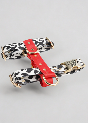 Hundesele Rouge - XLchoice