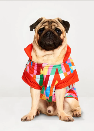 Farvesplash pufferjakke til hund, vandtæt, farverige geometriske mønstre, Woofy Hund