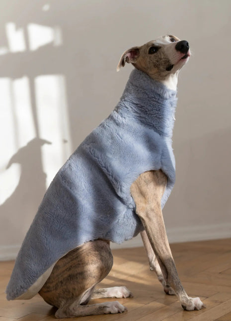 Woolen Dog Vest Blue - xlchoice.com