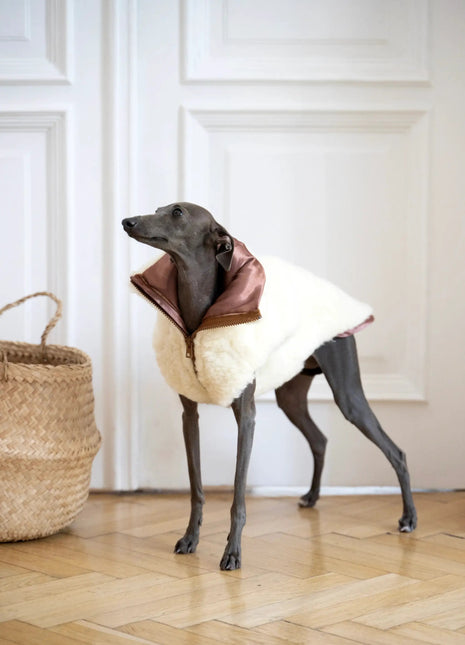 Woolen Dog Vest - xlchoice.com