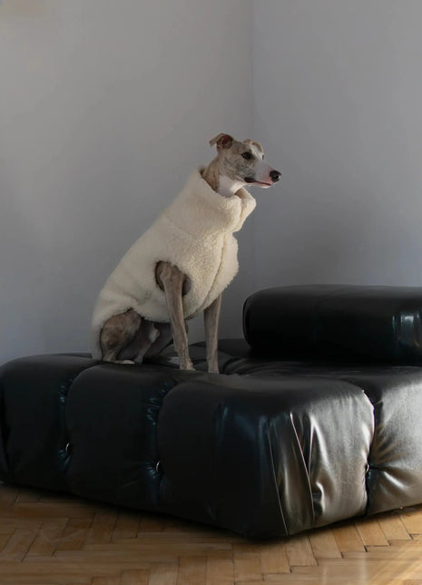 Woolen Dog Vest - xlchoice.com