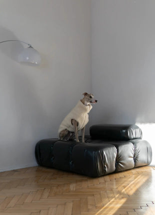 Woolen Dog Vest - xlchoice.com