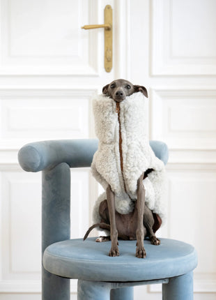 Woolen Dog Vest - xlchoice.com