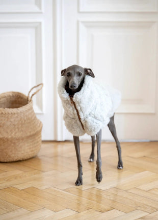 Woolen Dog Vest - xlchoice.com
