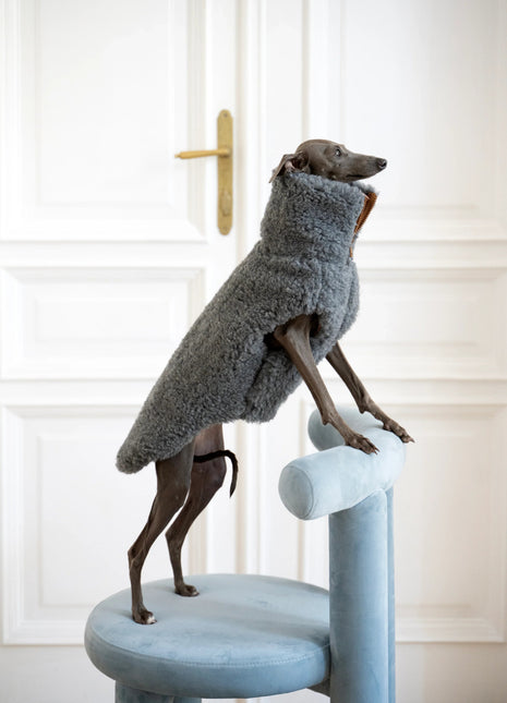 Woolen Dog Vest - xlchoice.com