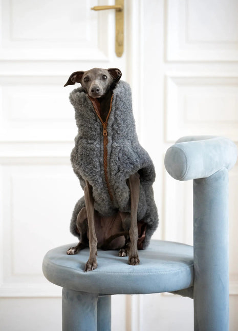 Woolen Dog Vest - xlchoice.com