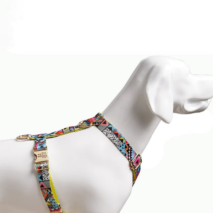 Hundegeschirr Ethnic-Vibrance-2